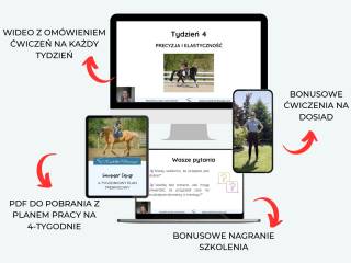 Programy, kursy i szkolenia online