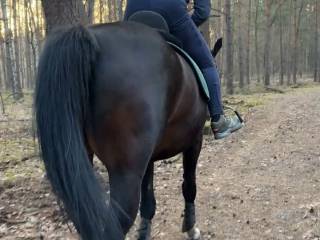 Klacz do współdzierżawy k/W-wy