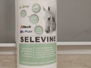 Dromy Selevine