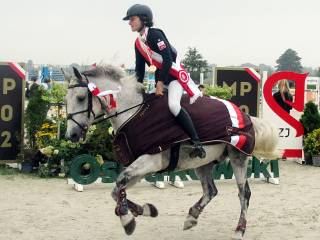 Kuc sportowy FEI Oisin- Mistrz Polski do dzierżawy