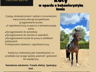 Zajeżdżanie kucy
