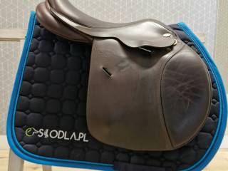 SantaCruz Celine