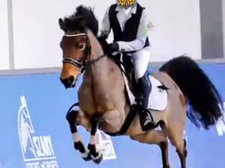 Przyszłościowy kucyk do sportu!