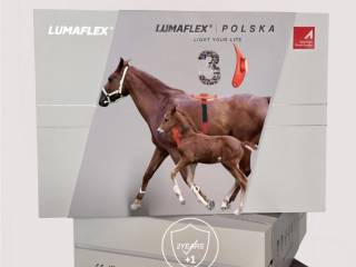 Lumaflex Essential DUO – Zestaw do fotobiomodulacji dla koni i ludzi