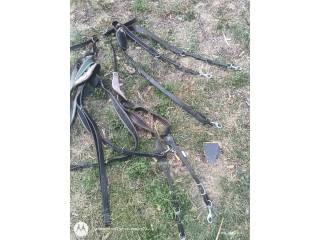 Sprzedam 4 szt napierśników cob maly full