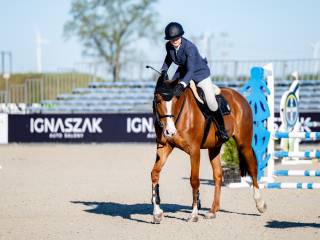 5 letnia klacz do sportu