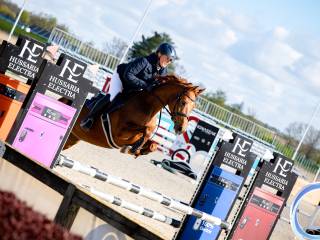 5 letnia klacz (Courtier x Czarownik XX)