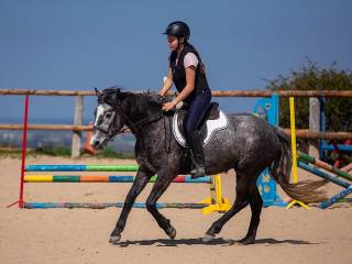 Lilou VS - sportowy kuc kat D