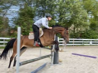 Klacz Namelus R - Heartbreaker - Diamant de Semilly