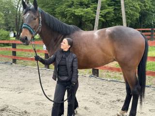 Bravest Archer 4yo wałach