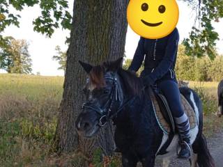 SPRZEDAM LUB ZAMIENIĘ klacz
