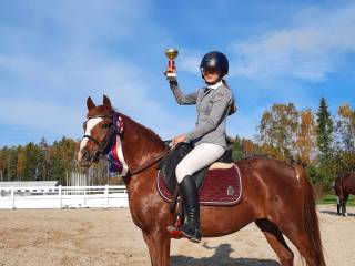 Champion pony