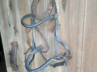 Kawecan Shires Equestrian FULL czarny