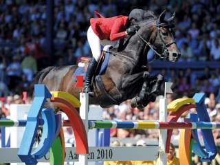 Holsztyński ogier Herald III nasienie mrożone