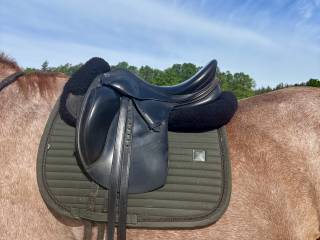 Erreplus Dressage DE