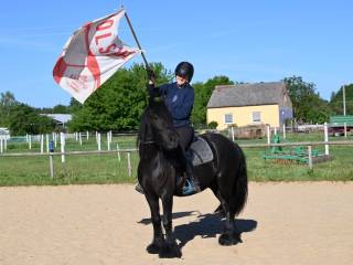 Cudowny fell pony Mini Fryz do hipoterapii/początkujących/konik rodzinny