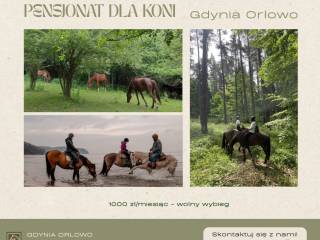 Wolny wybieg w Gdyni Orłowie - 1000zł!