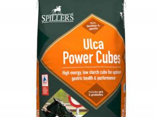 Pasza Ulca Power Cubes