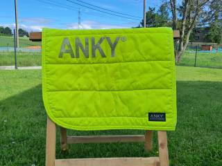 Czaprak Anky Lime DL