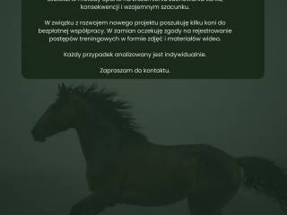 POSZUKIWANE KONIE DO PROJEKTU