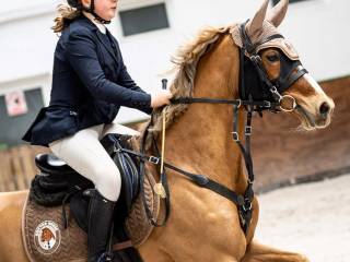 Kuc sportowy D gr