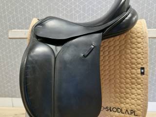 Barnsby Club Dressage