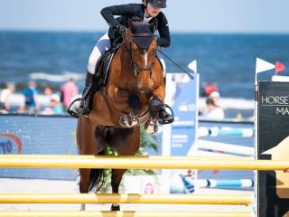 sportowa malowana klacz po Tinka's Boy
