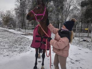Ambitna klacz z bardzo dobrym pochodzeniem