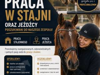 Firma Agrosad Sporthorses poszukuje jeźdźców do pracy z młodymi końmi.