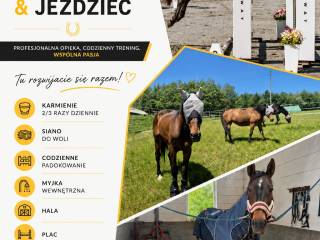 Trening koni