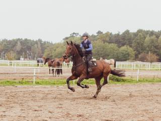 Trening koni i jeźdźców