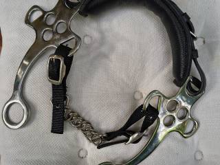 Hackamore Waldhausen full