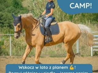 4-tygodniowy plan treningowy dla Ciebie i Twojego konia - Summer Camp