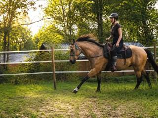 Silver Chic Olena AQH