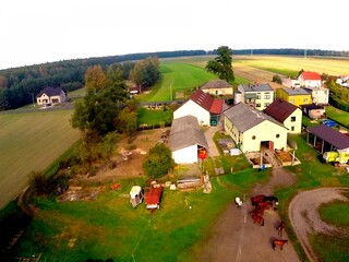 Hotel / pensjonat dla koni, komfortowe warunki