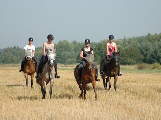 Tereny kilkugodzinne, 40 km, mazowieckie