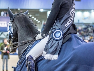 Treningi koni i jeźdźców z Mistrzynią Polski, Wrocław, ujezdzenie