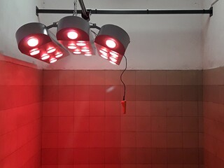Solarium dla koni