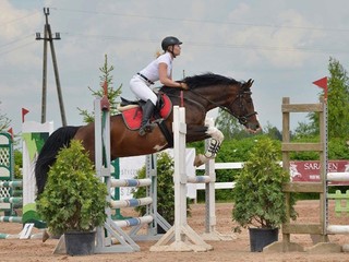 Stanówka 2025 FAKTOR - Lord/Landgraf/Contender