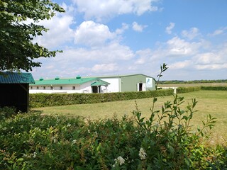 Horse Care Rehab Centre
