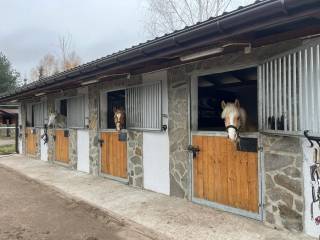 Stajnia Liskowy Staw - Wwa/Minsk Maz.