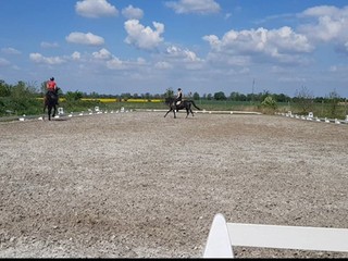 Stajnie Łopuchowskie
